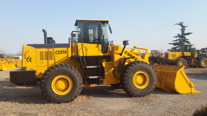 CS956