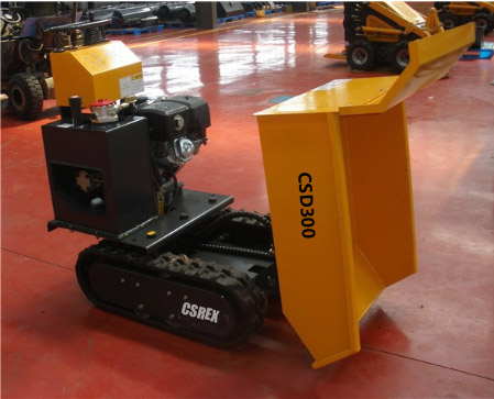 CSD300