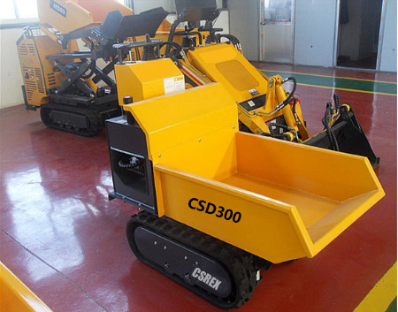 CSD300