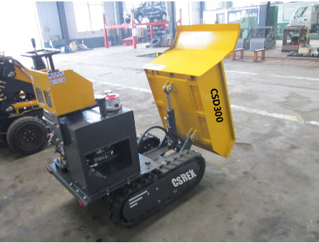 CSD300