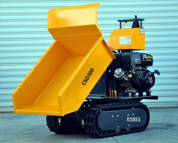 CSD300