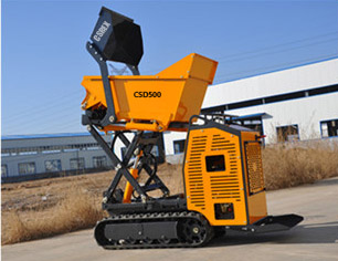 CSD500