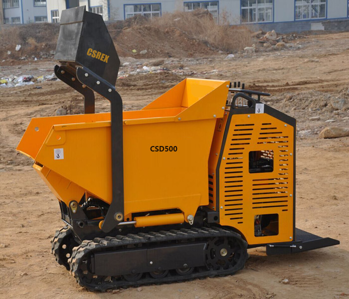CSD500