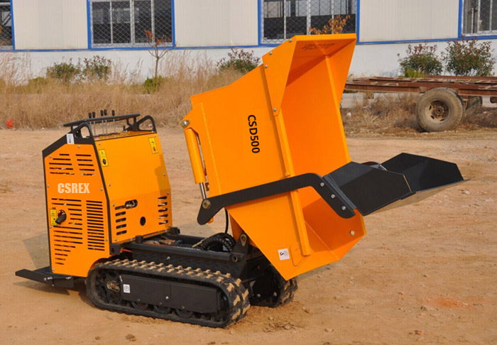 CSD500