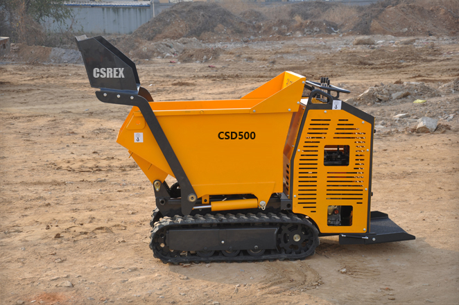 CSD500